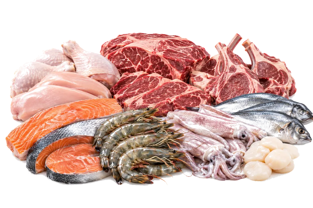 Export-Grade Frozen Meat & Seafood