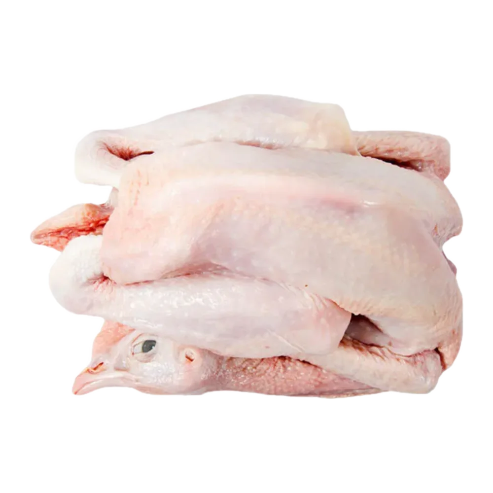 Ayam Pejantan