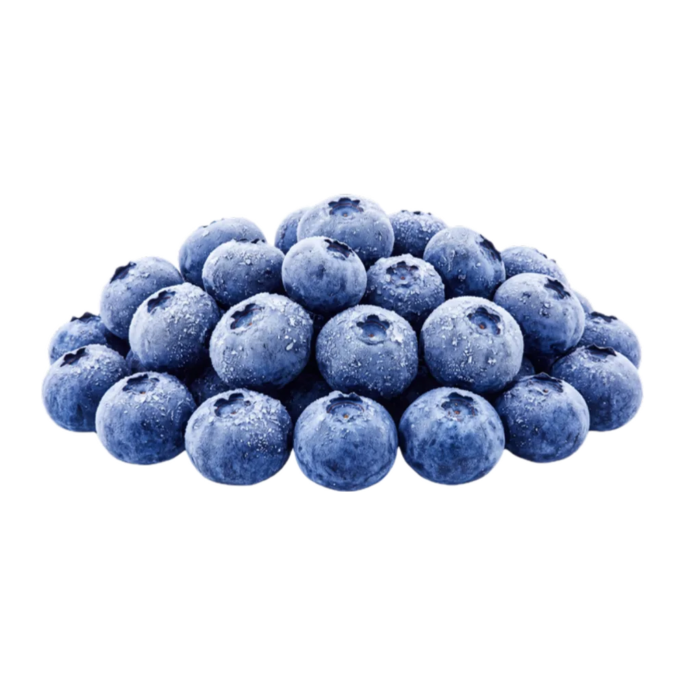 Bluberry Frozen