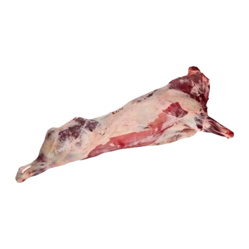 Karkas Kambing