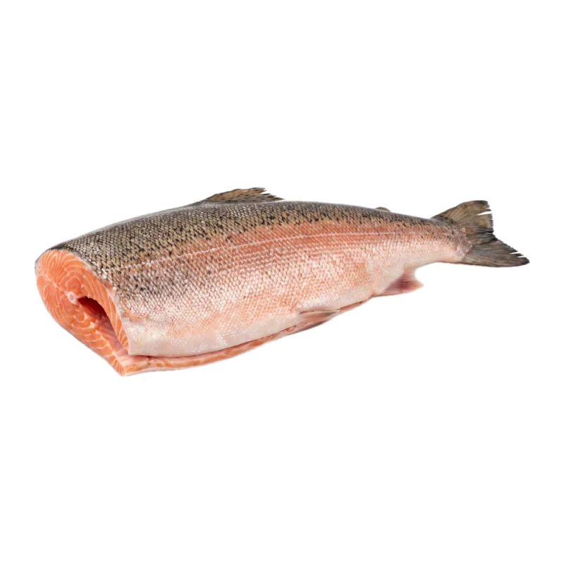 Salmon Headless