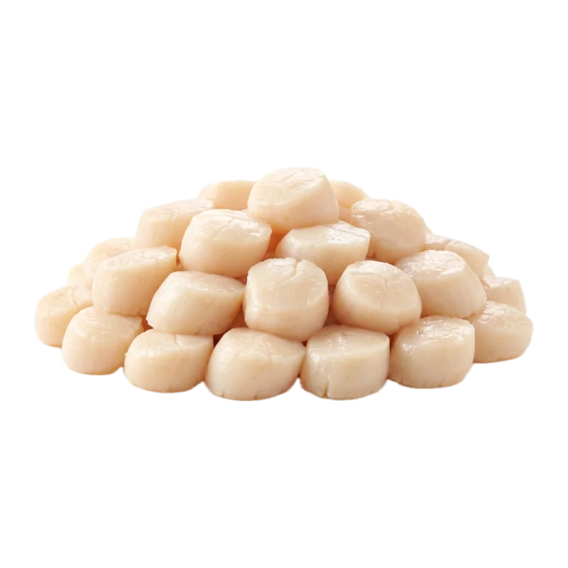 Scallop Import