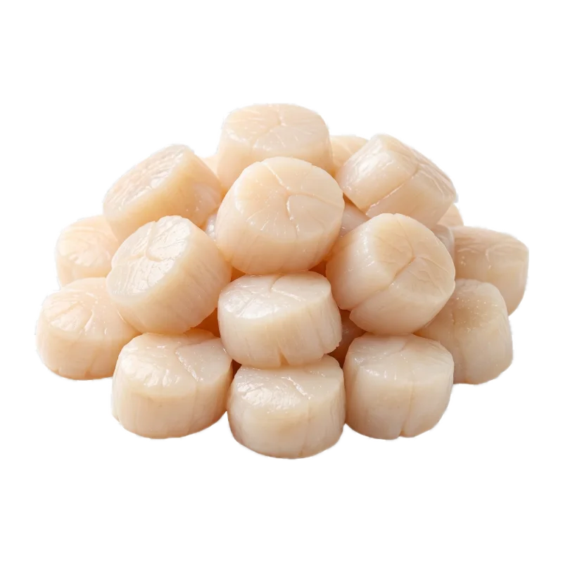 Scallop Meat Local