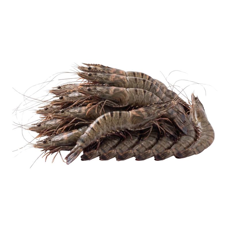 Udang Windu 25