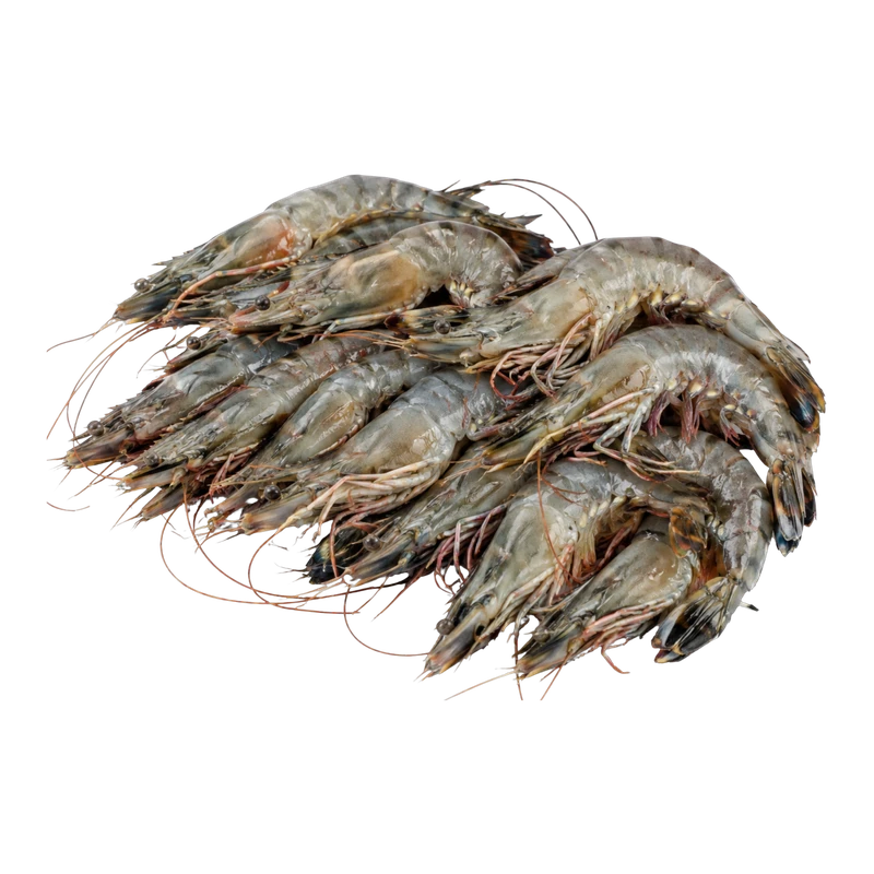 Udang Windu 35
